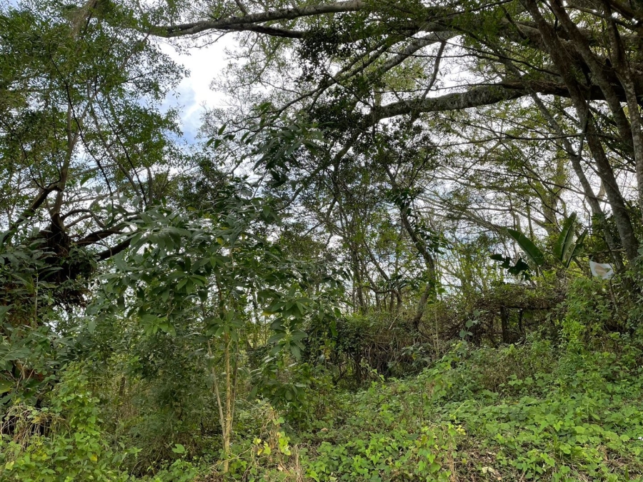 4 Bedroom Property for Sale in Bathurst Eastern Cape